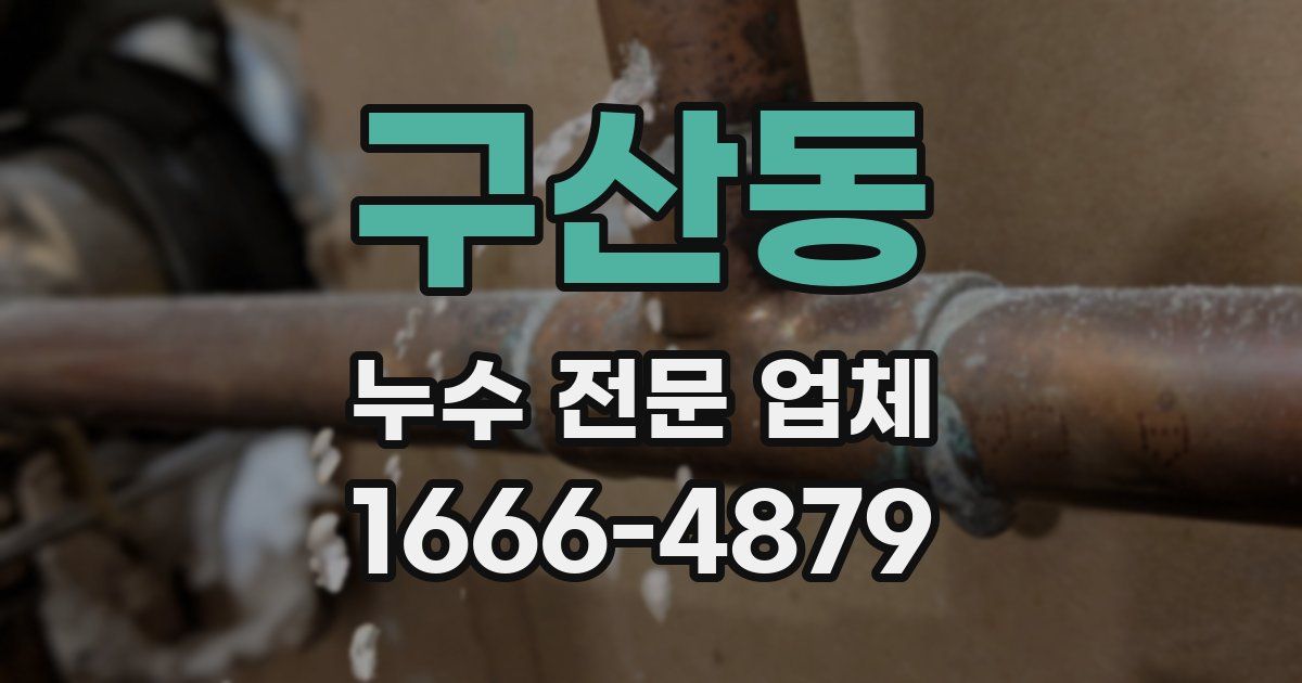구산동 누수 전문 업체