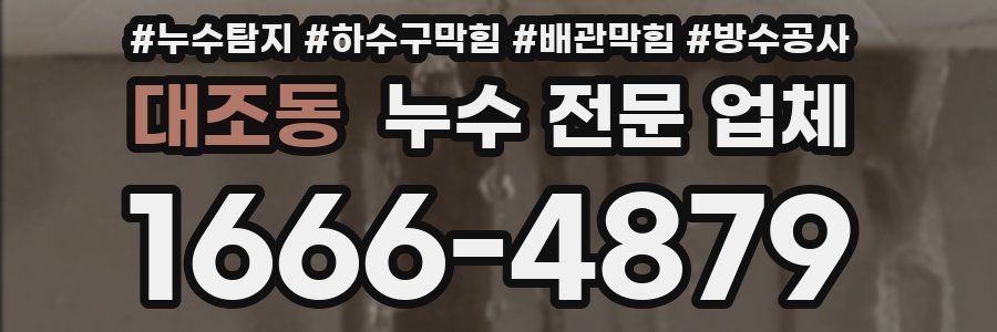 대조동 누수 전문 업체