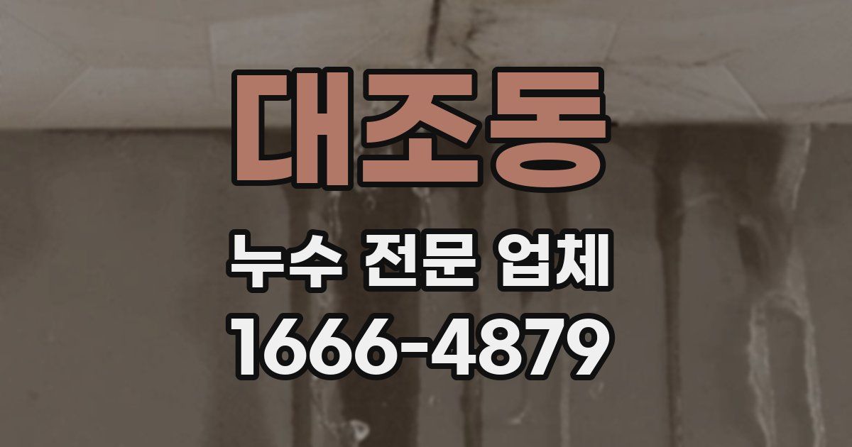 대조동 누수 전문 업체