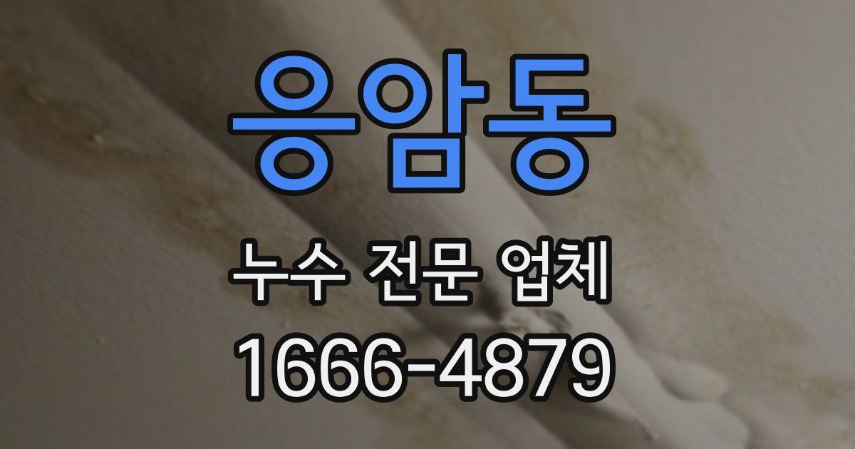 응암동 누수 전문 업체