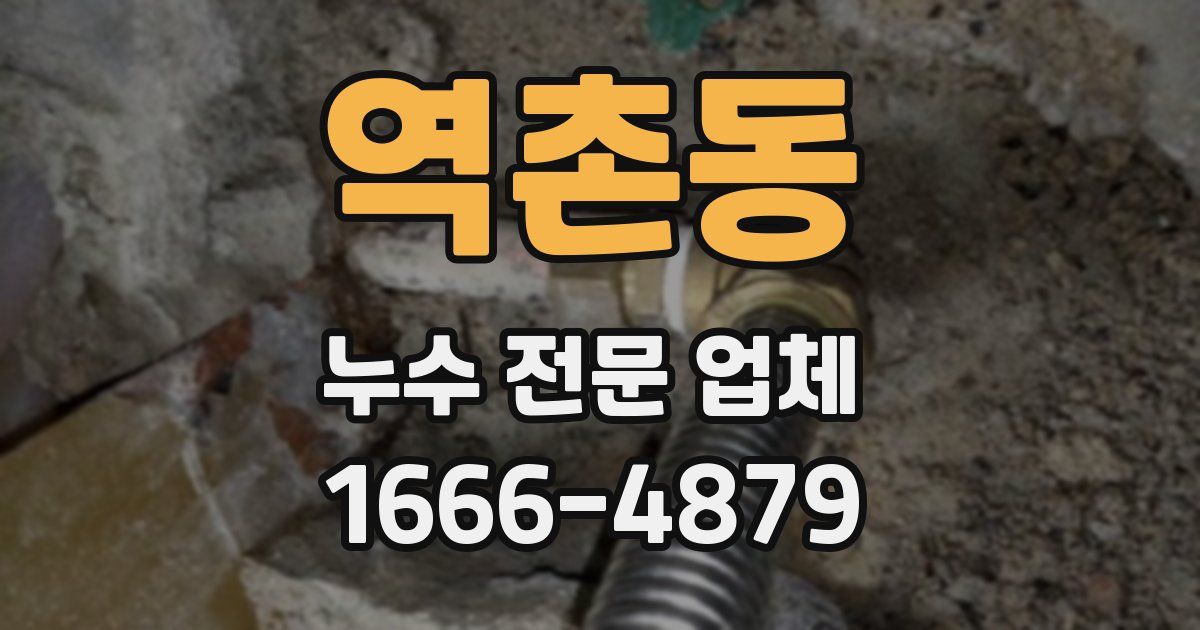 역촌동 누수 전문 업체