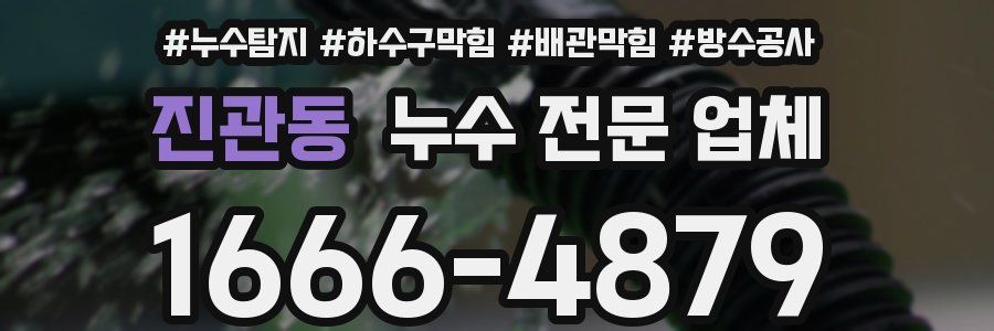 진관동 누수 전문 업체