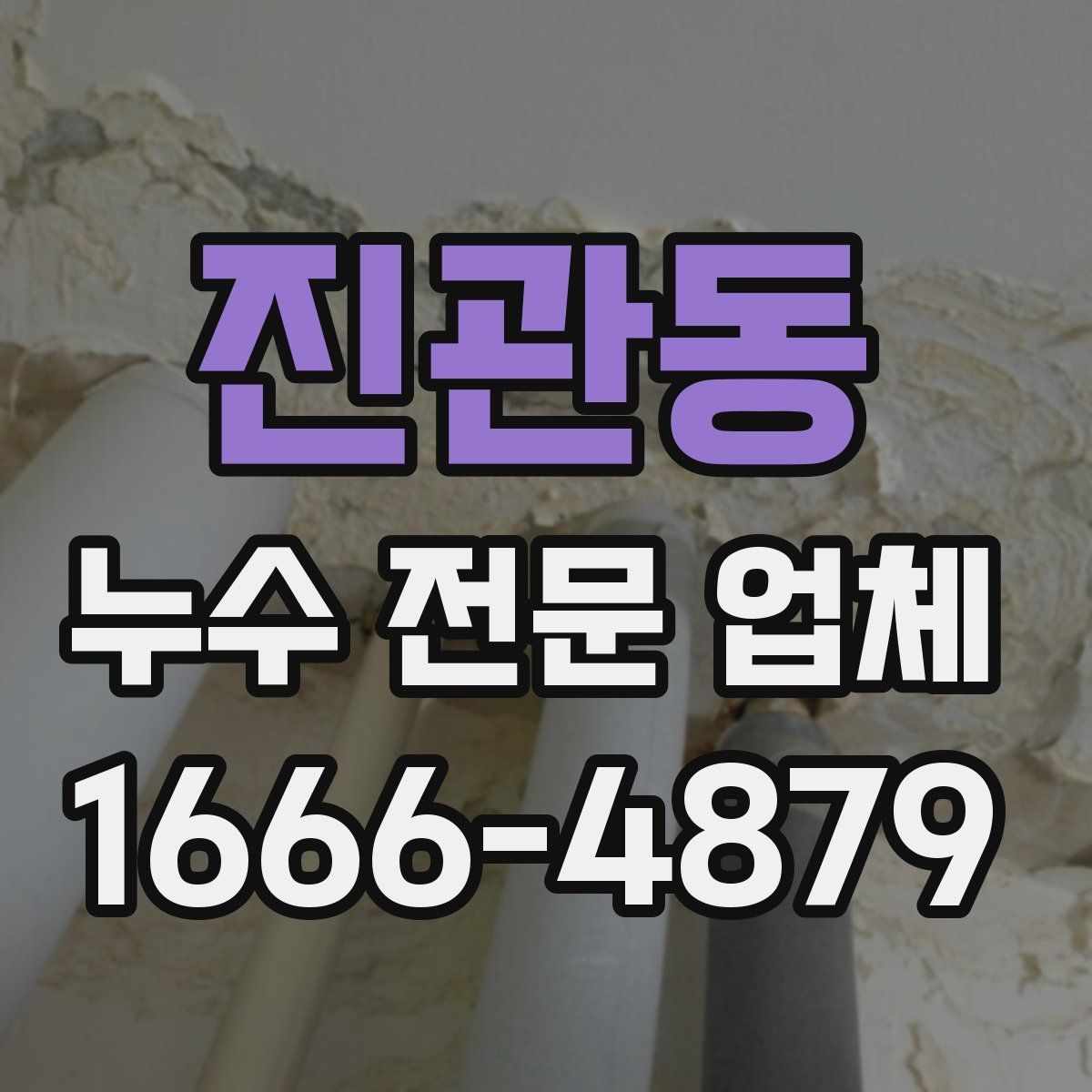 진관동 누수 전문 업체