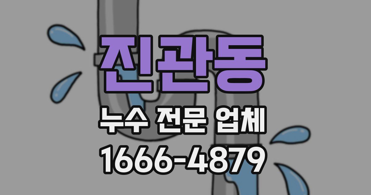 진관동 누수 전문 업체
