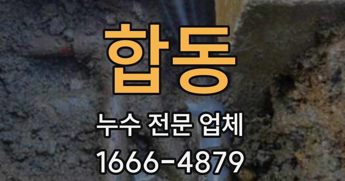 합동 누수 전문 업체