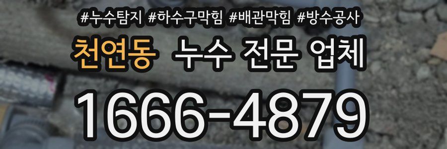 천연동 누수 전문 업체