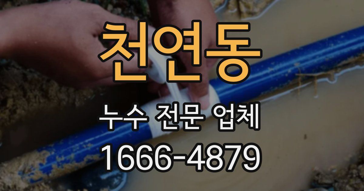 천연동 누수 전문 업체