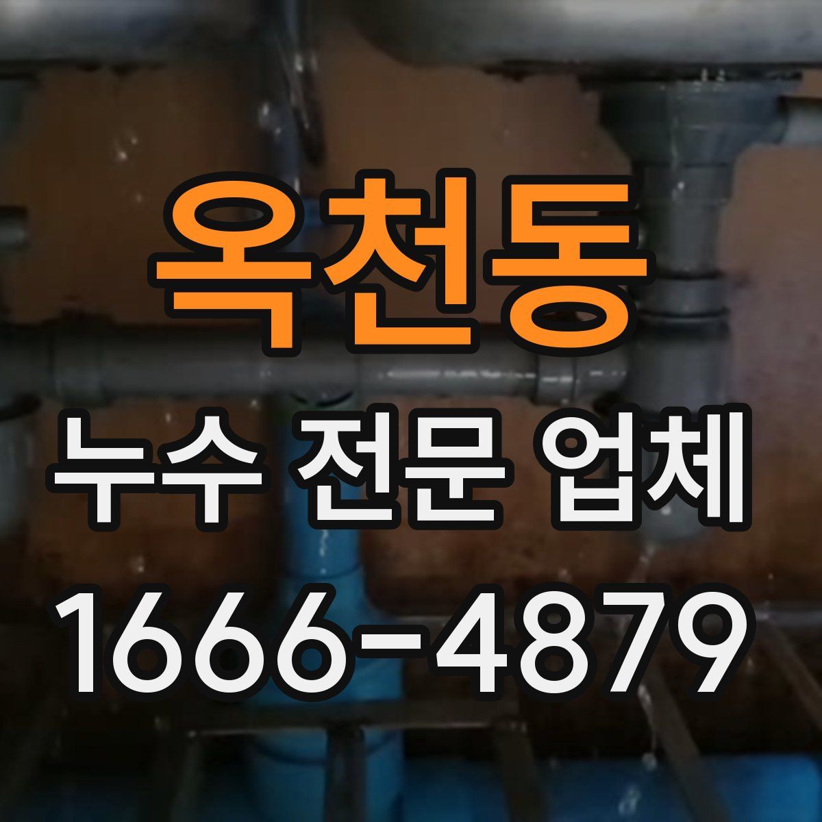 옥천동 누수 전문 업체