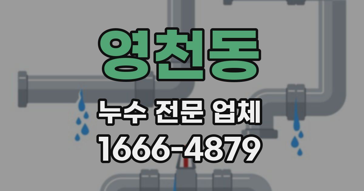 영천동 누수 전문 업체