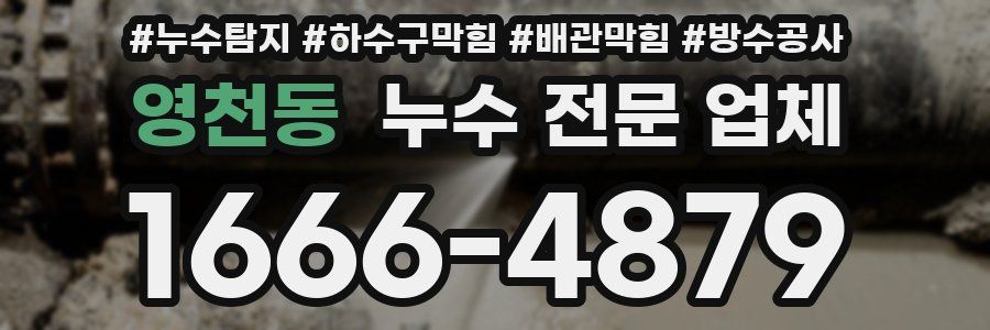 영천동 누수 전문 업체