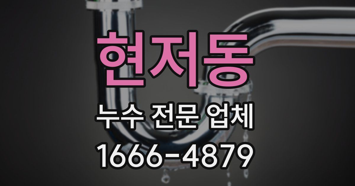 현저동 누수 전문 업체