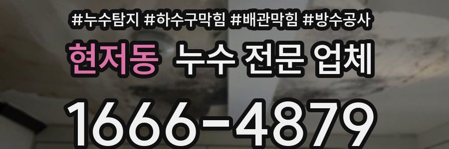 현저동 누수 전문 업체