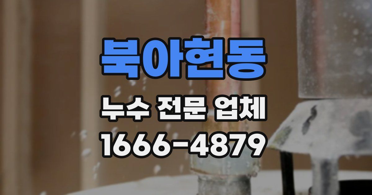 북아현동 누수 전문 업체