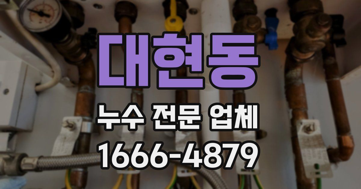 대현동 누수 전문 업체