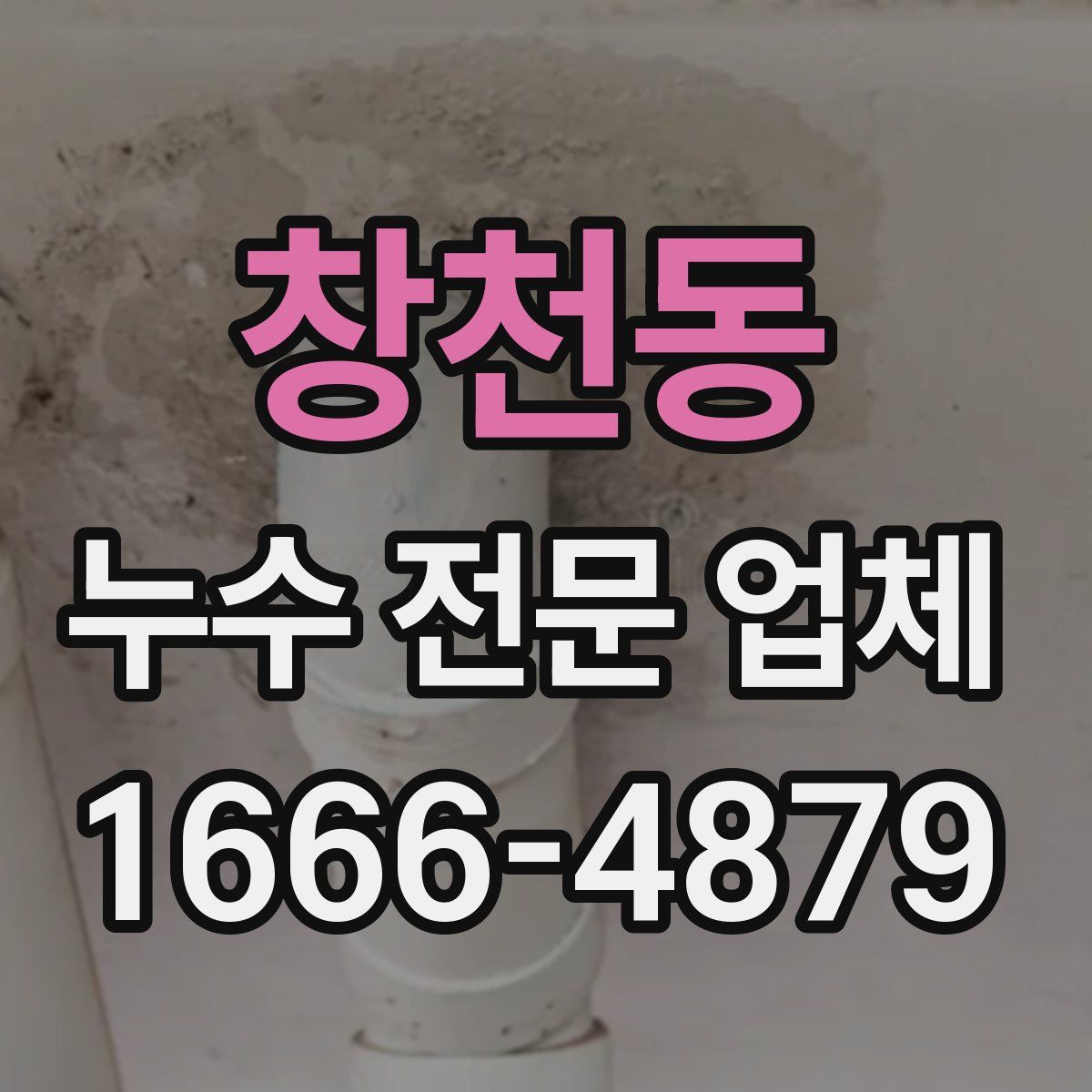 창천동 누수 전문 업체