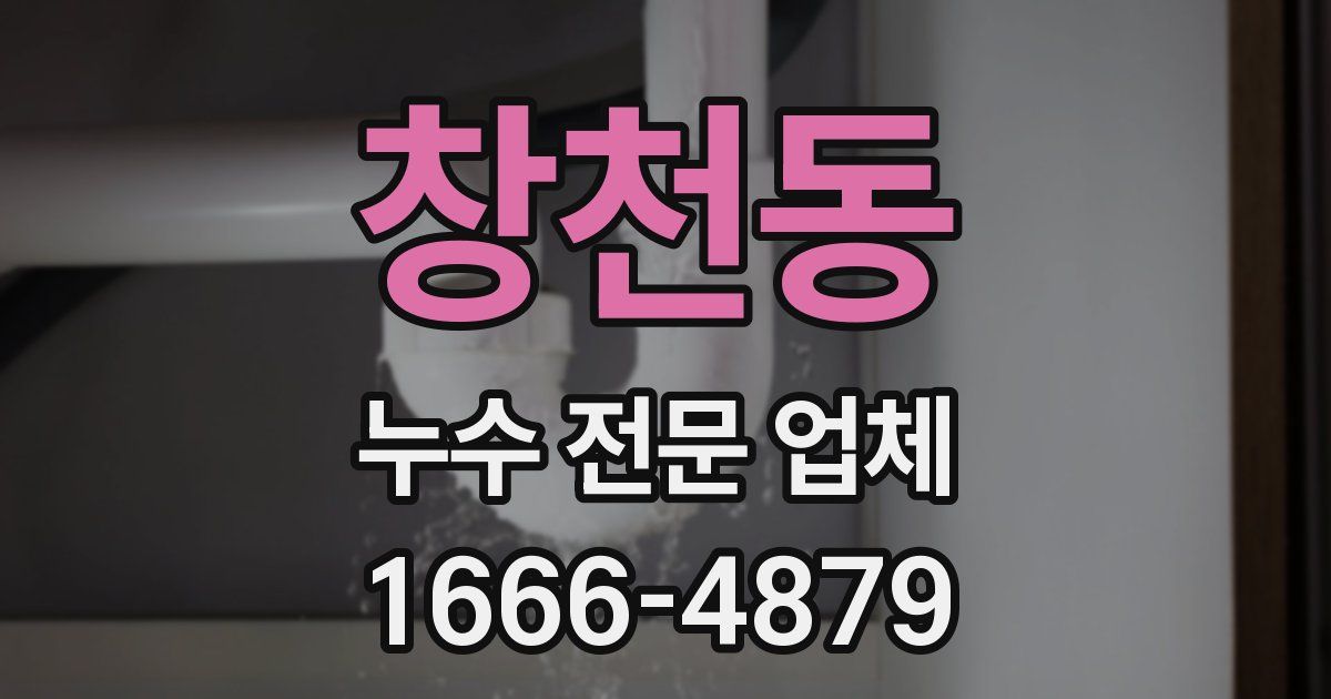 창천동 누수 전문 업체