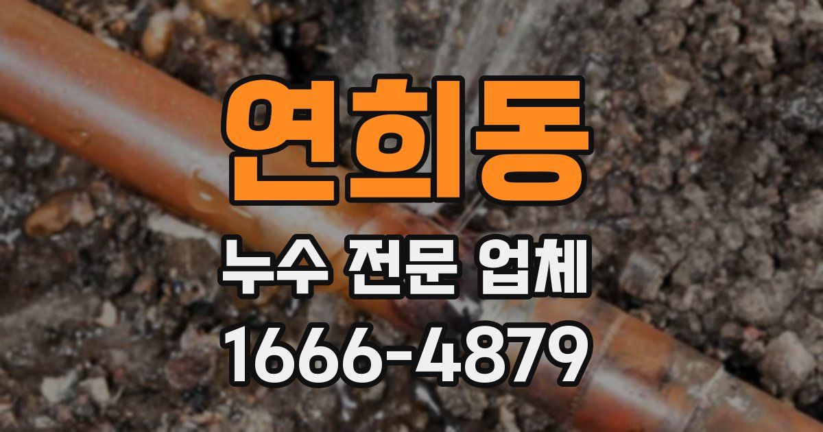 연희동 누수 전문 업체
