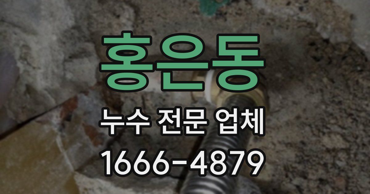 홍은동 누수 전문 업체