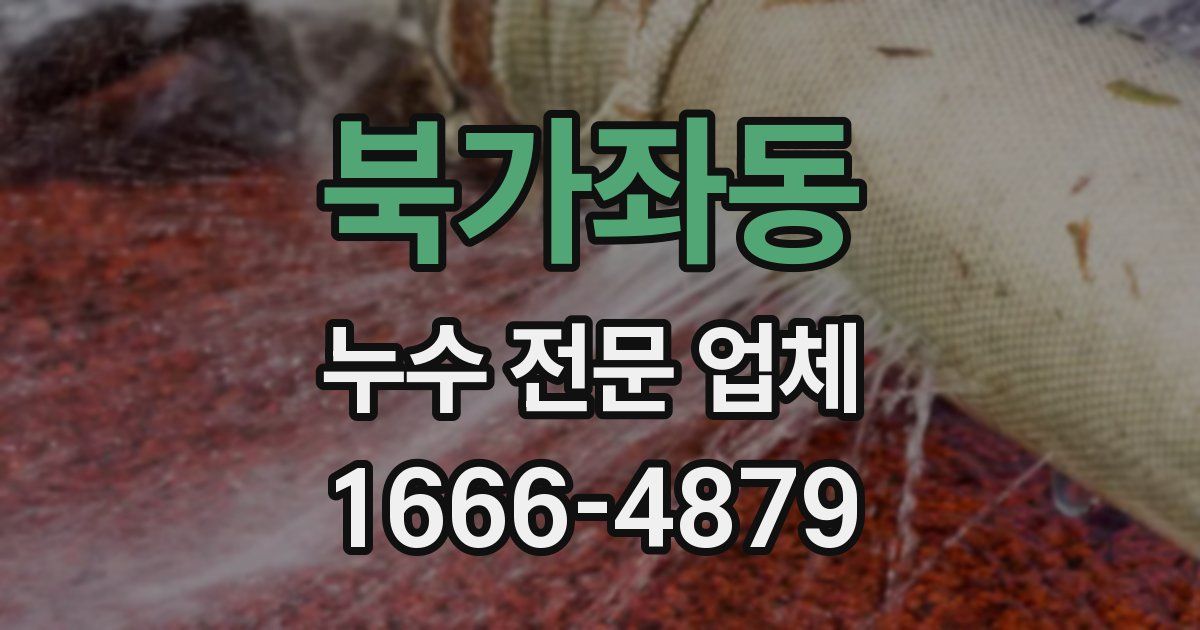 북가좌동 누수 전문 업체
