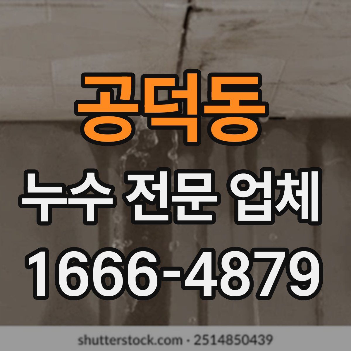 공덕동 누수 전문 업체