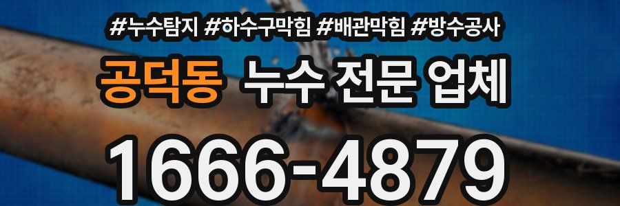 공덕동 누수 전문 업체