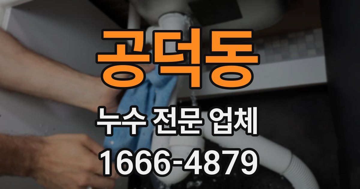공덕동 누수 전문 업체