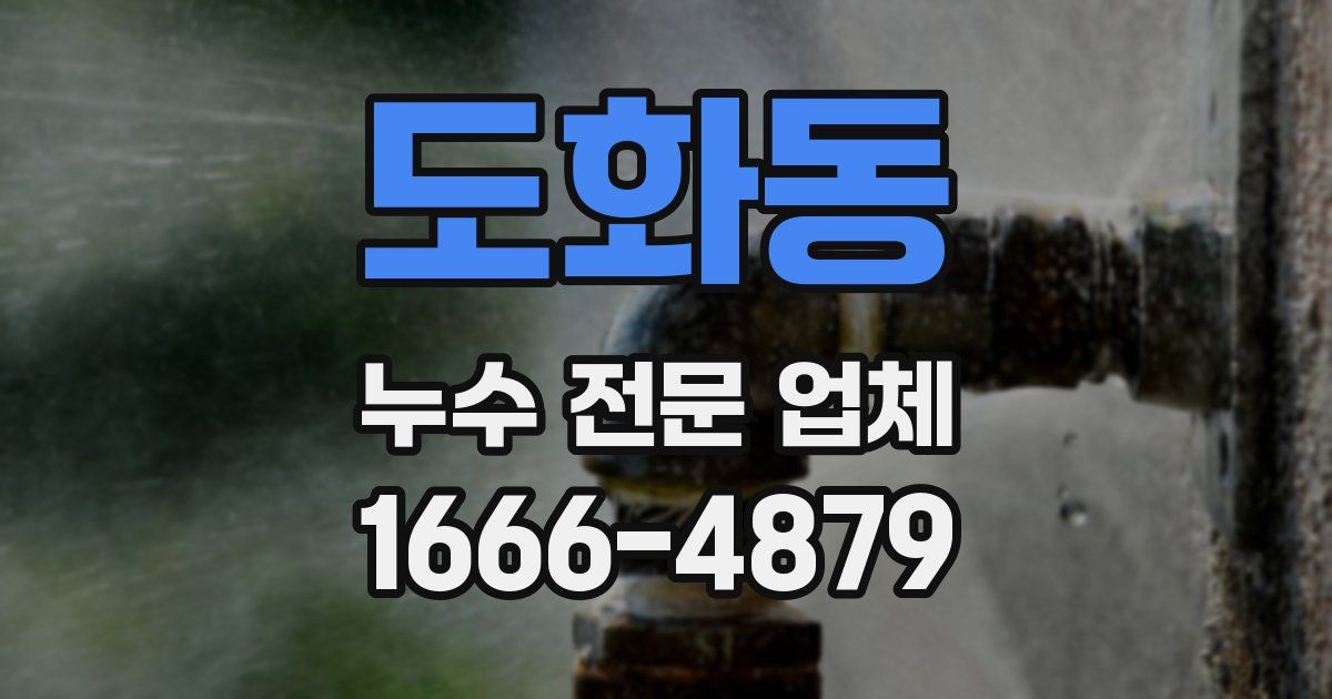 도화동 누수 전문 업체