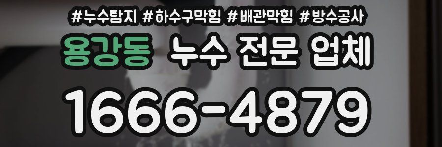 용강동 누수 전문 업체