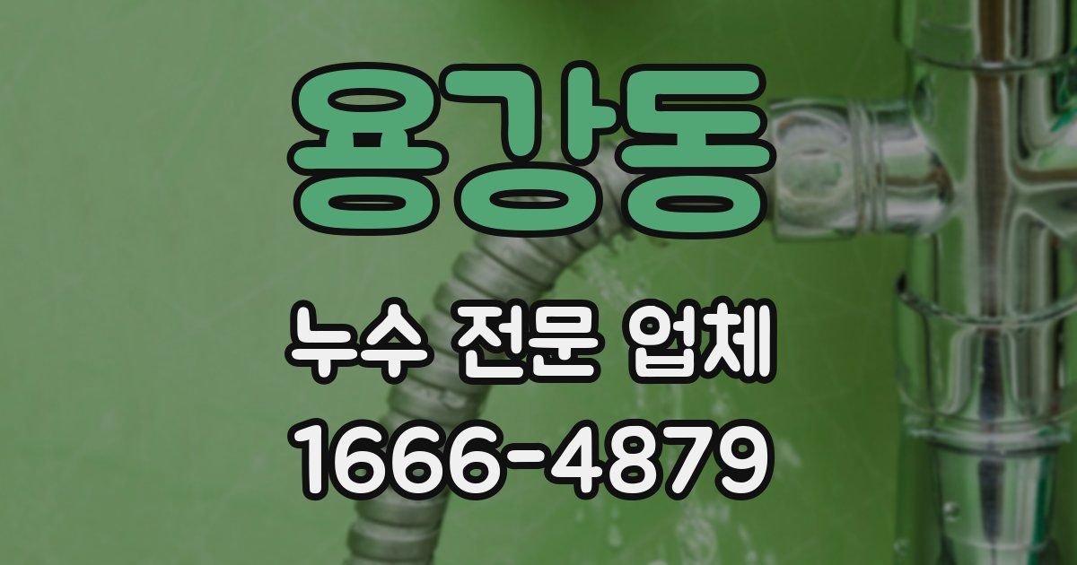 용강동 누수 전문 업체