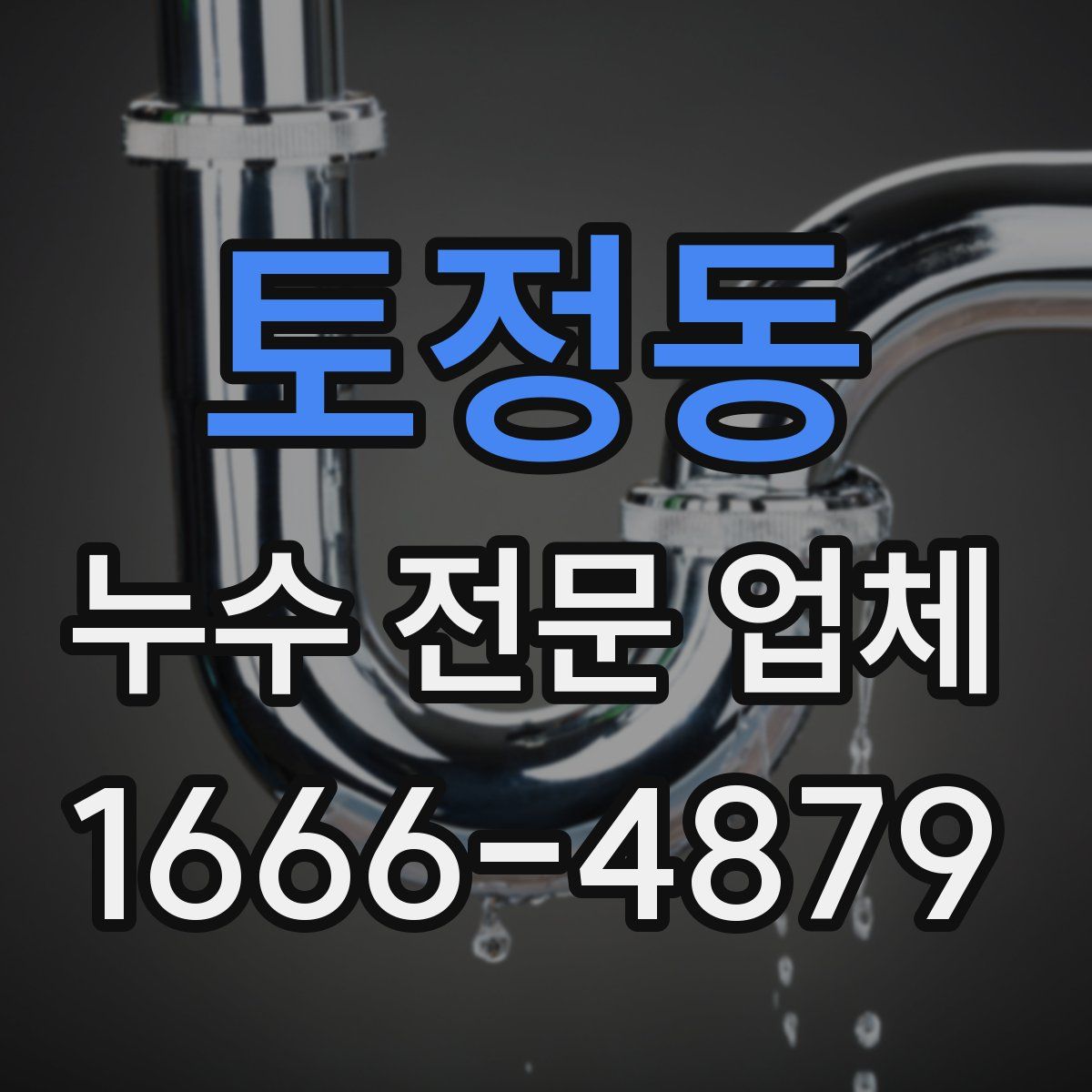 토정동 누수 전문 업체