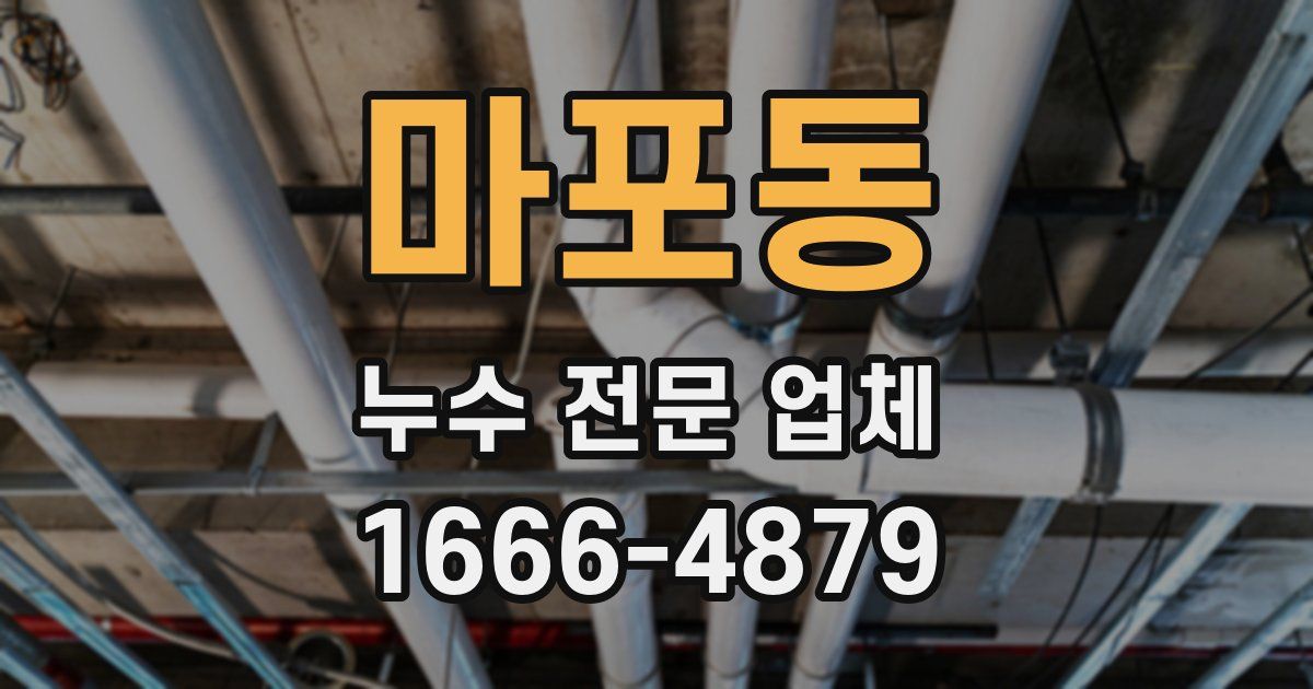 마포동 누수 전문 업체