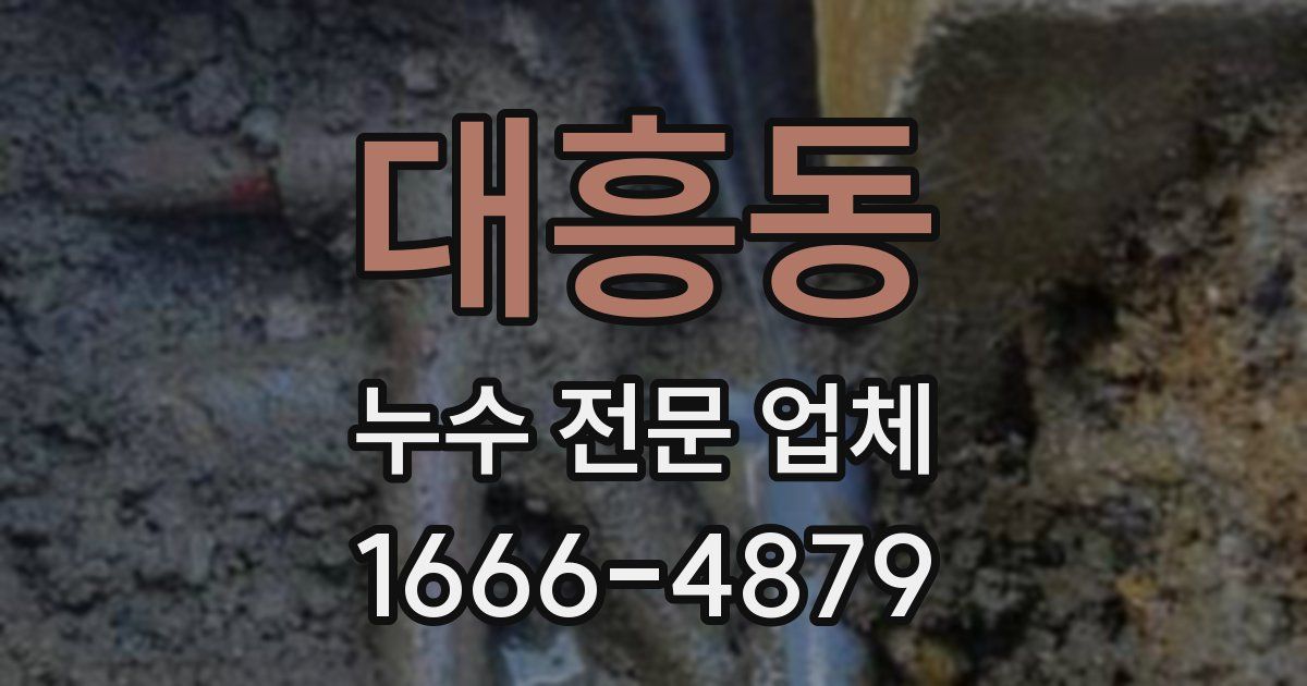 대흥동 누수 전문 업체