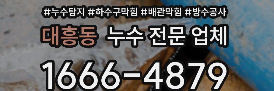 대흥동 누수 전문 업체
