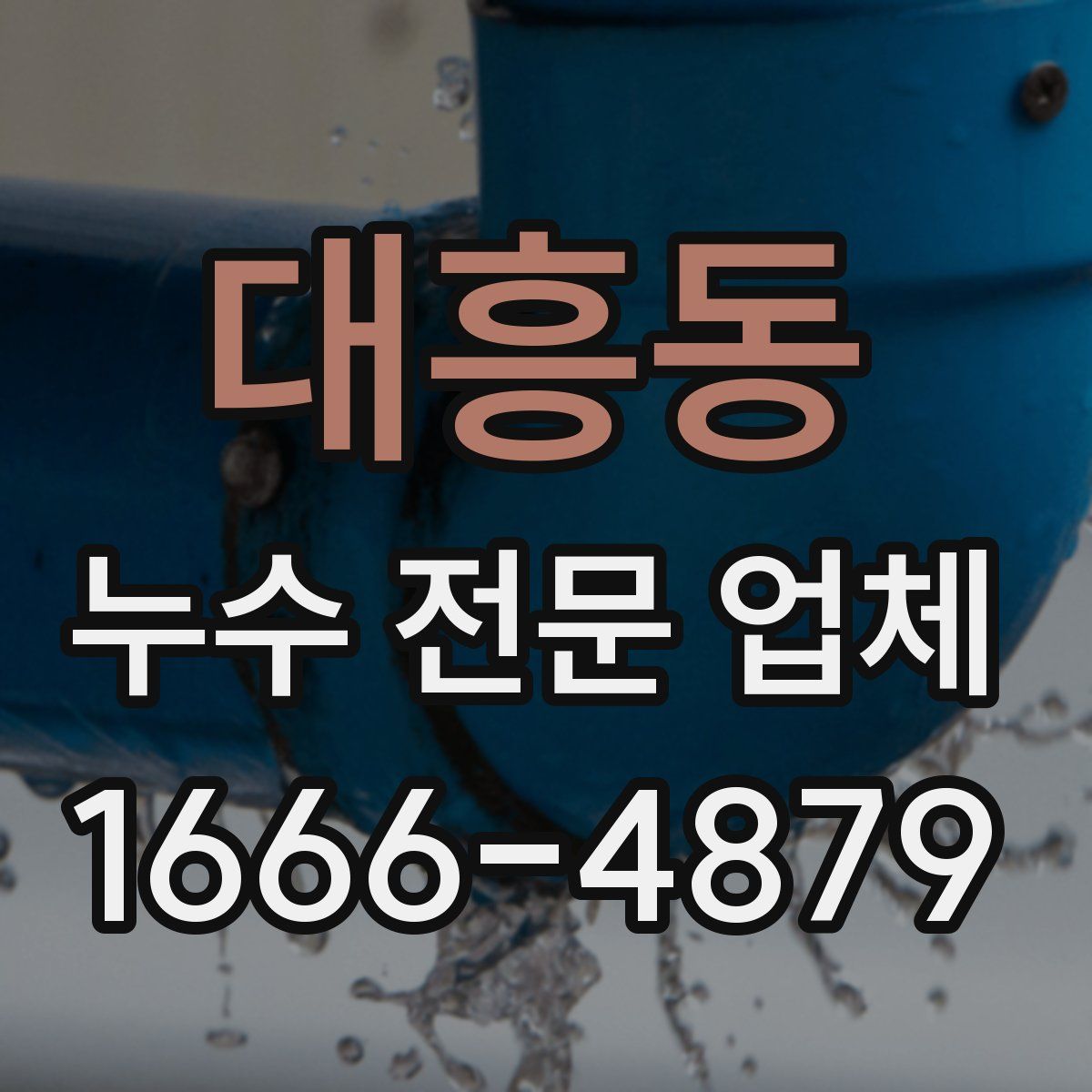 대흥동 누수 전문 업체