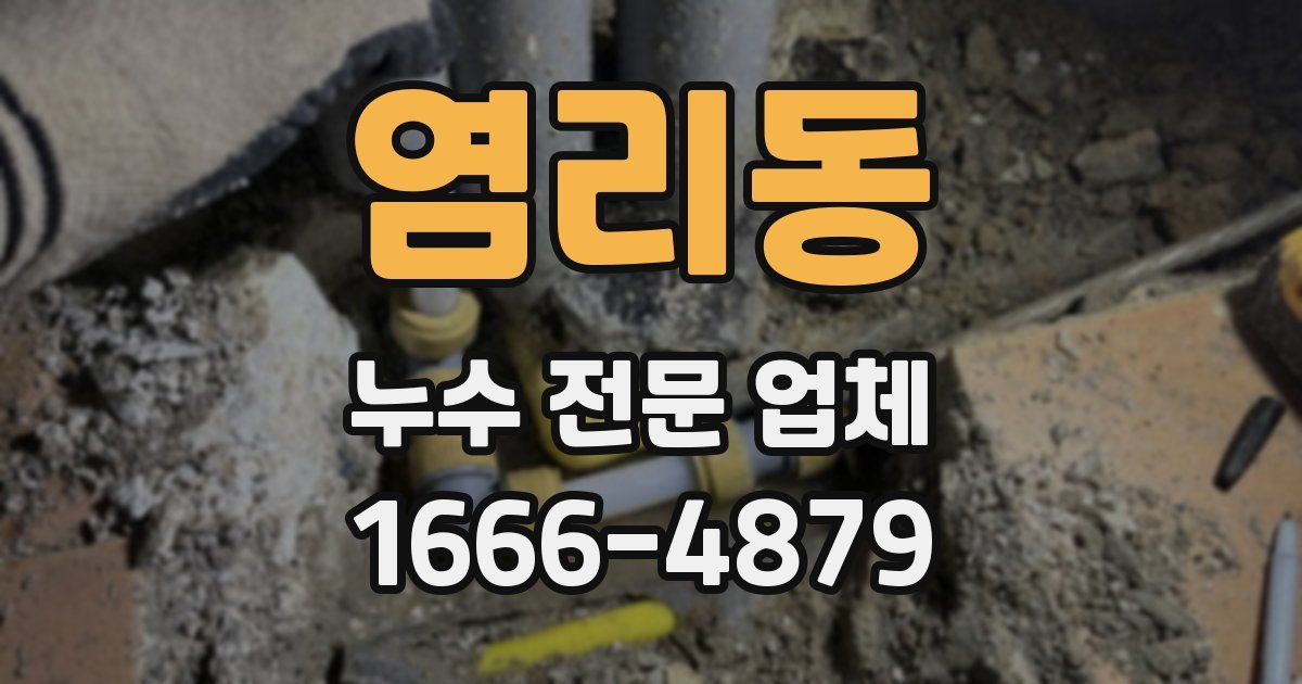 염리동 누수 전문 업체