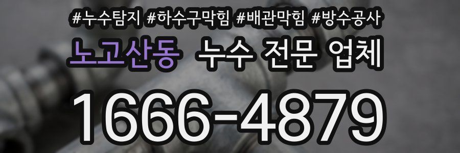 노고산동 누수 전문 업체