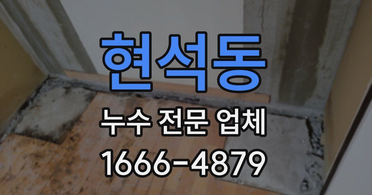 현석동 누수 전문 업체