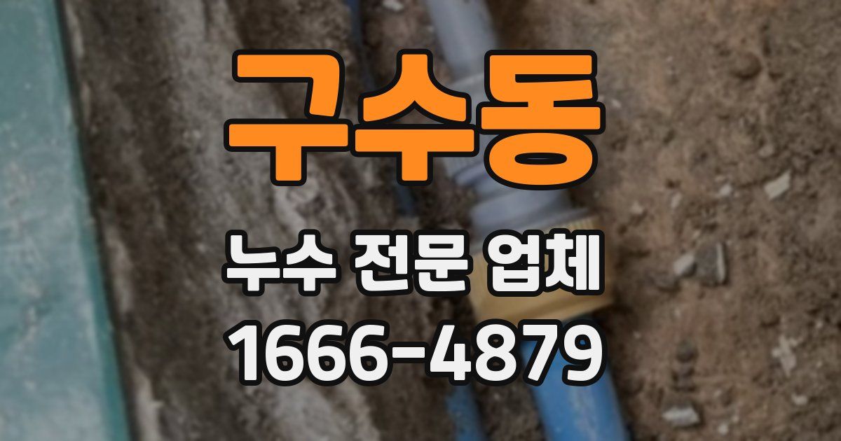 구수동 누수 전문 업체