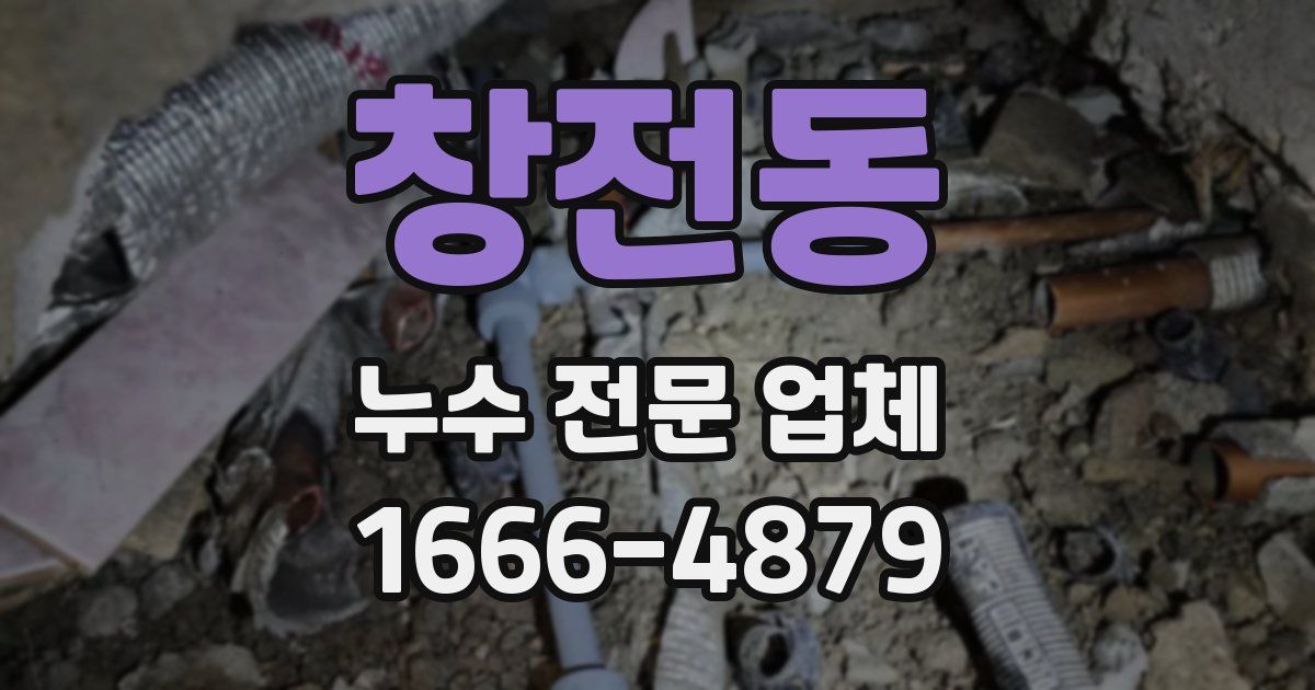 창전동 누수 전문 업체