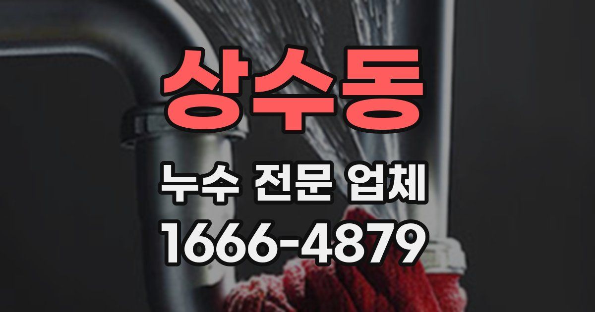 상수동 누수 전문 업체