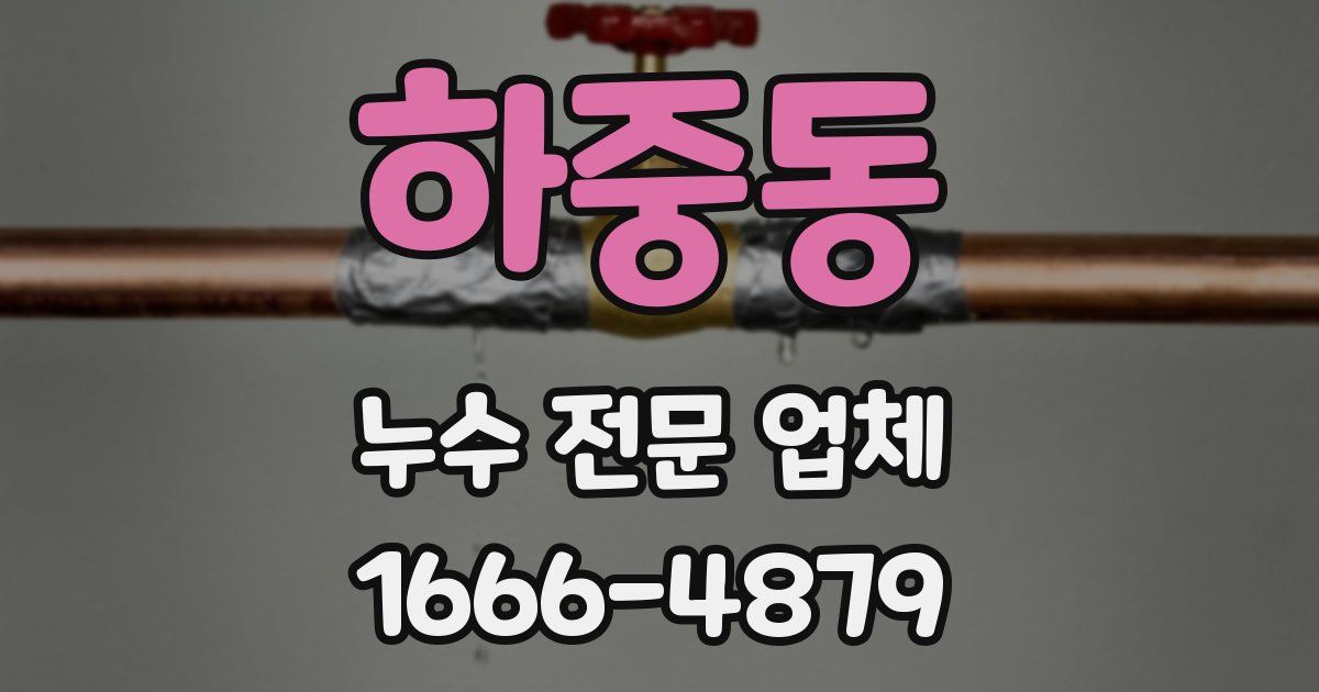 하중동 누수 전문 업체