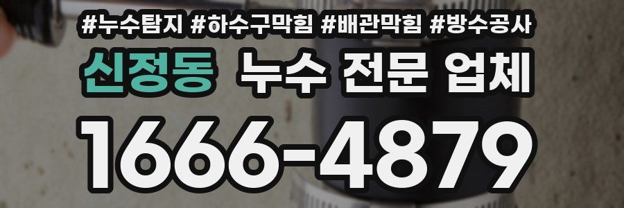 신정동 누수 전문 업체
