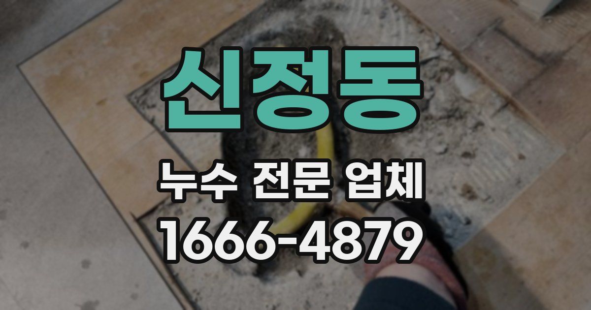 신정동 누수 전문 업체