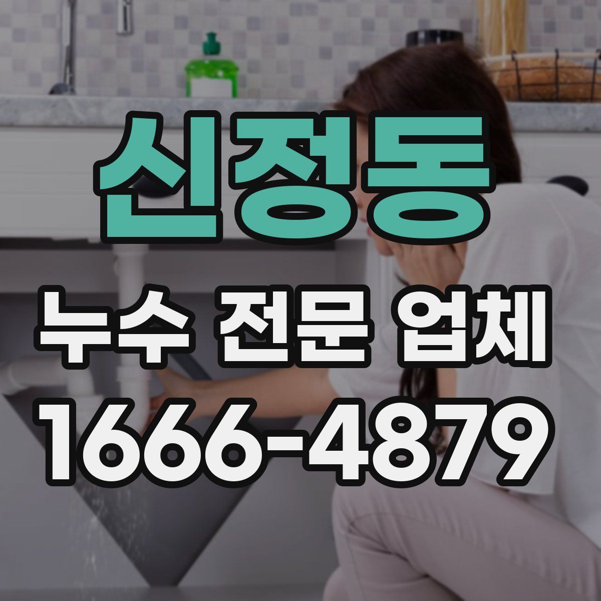 신정동 누수 전문 업체