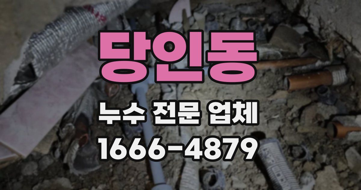 당인동 누수 전문 업체