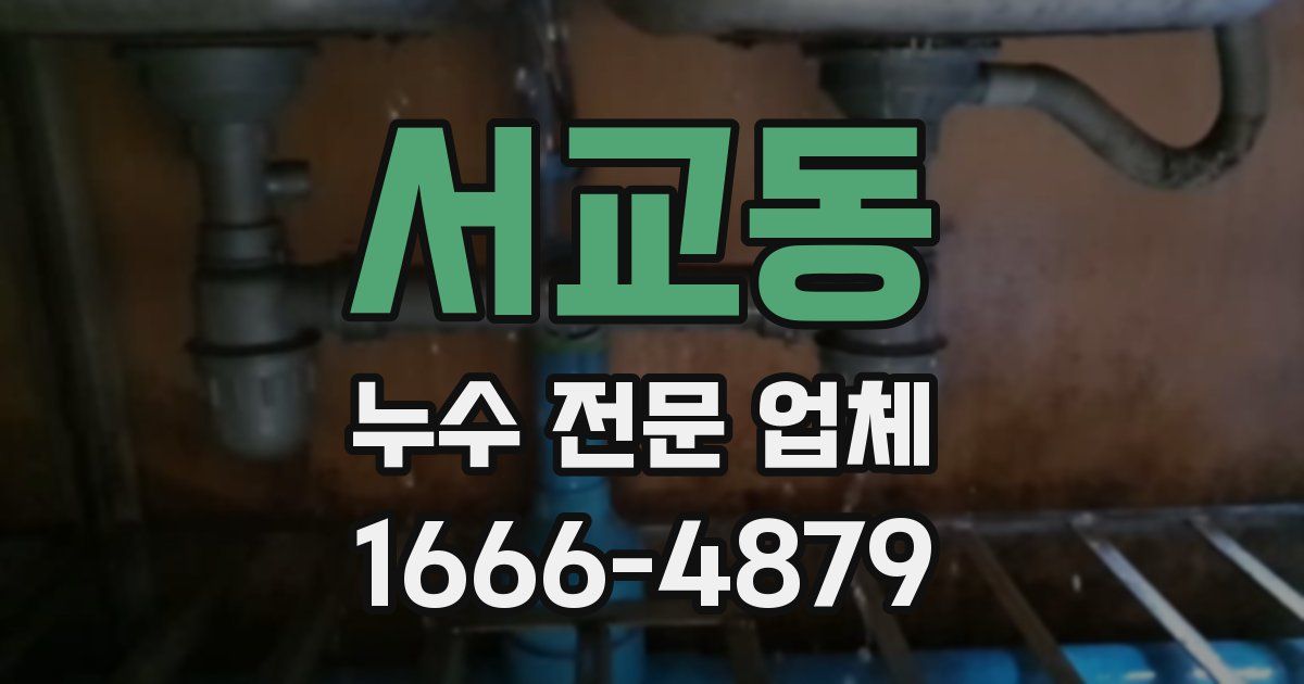 서교동 누수 전문 업체