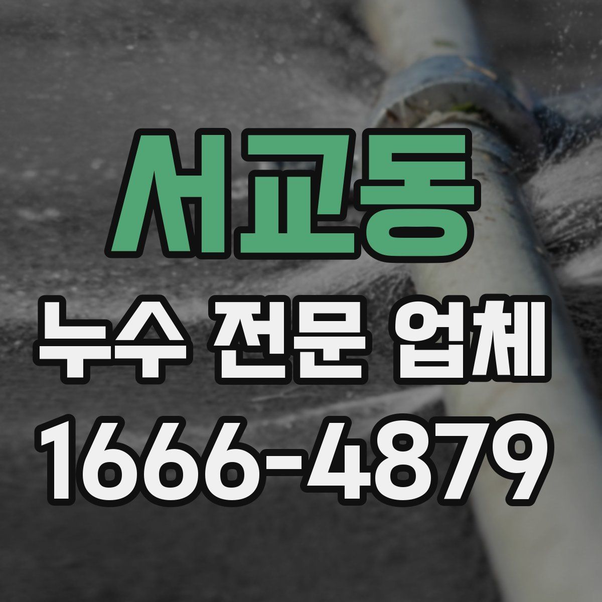 서교동 누수 전문 업체