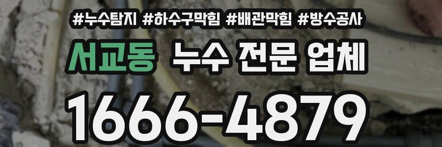 서교동 누수 전문 업체