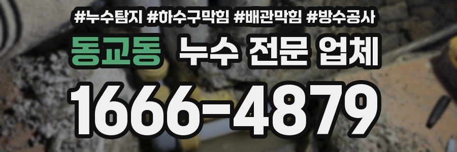 동교동 누수 전문 업체
