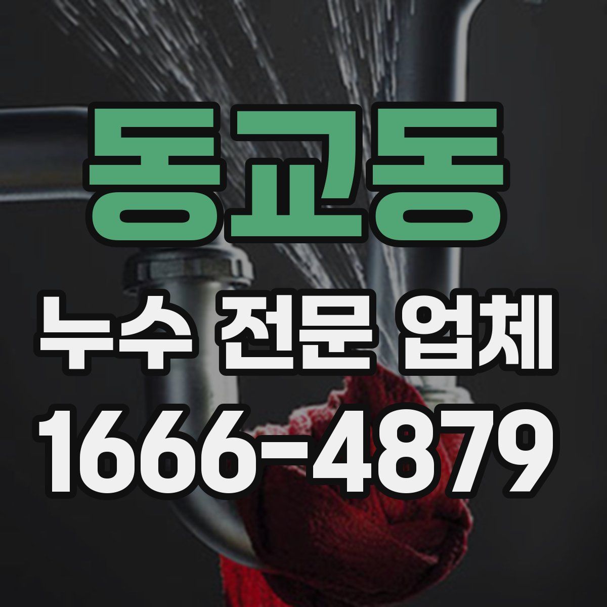 동교동 누수 전문 업체